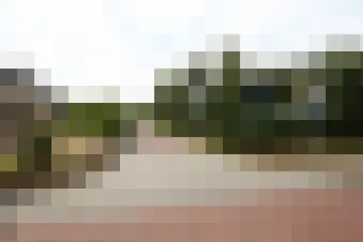 Wilgenlaan 4 Rijnsburg thumbnail 6