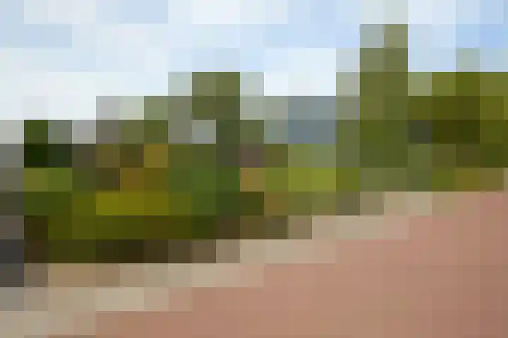 Wilgenlaan 4 Rijnsburg thumbnail 7