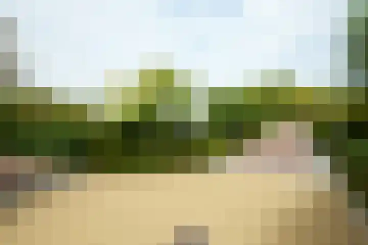 Wilgenlaan 4 Rijnsburg thumbnail 8