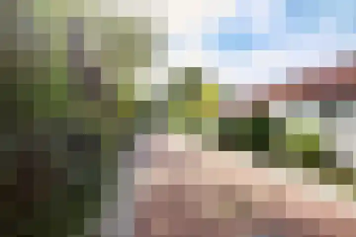 Wilgenlaan 4 Rijnsburg thumbnail 9