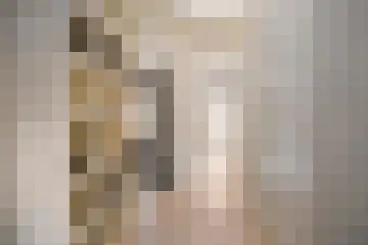 Wilgenlaan 4 Wierden thumbnail 15