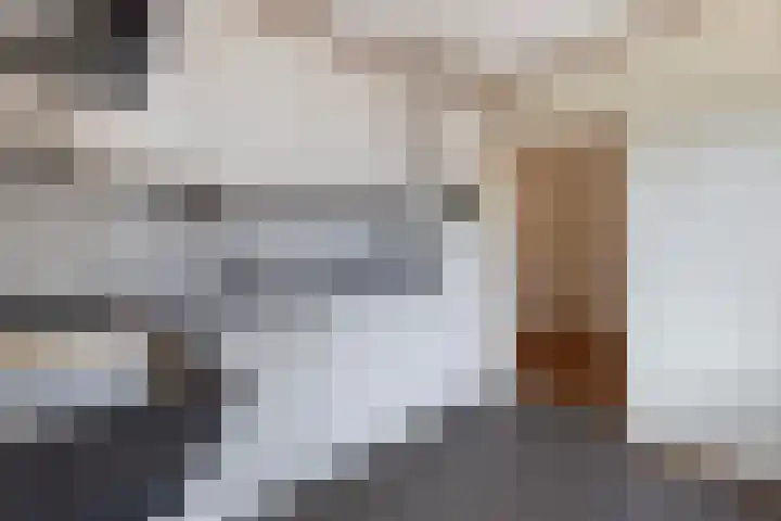 Wilgenlaan 4 Wierden thumbnail 15