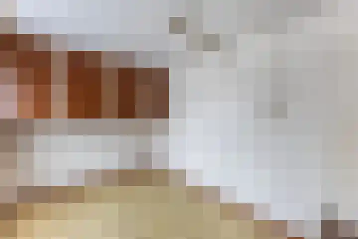 Wilgenlaan 4 Wierden thumbnail 18