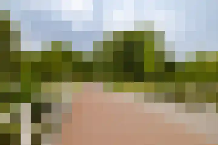 Wilgenlaan 4 Wierden thumbnail 20