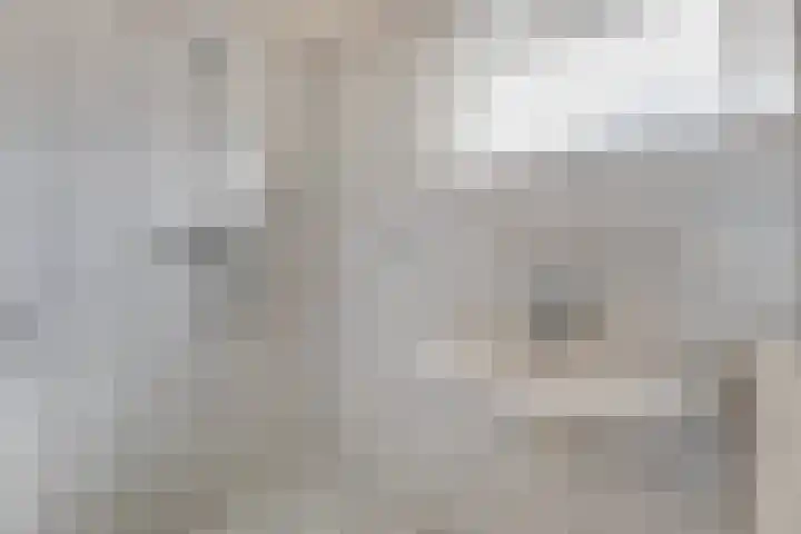 Wilgenlaan 4 Wierden thumbnail 23