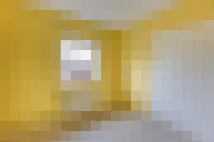 Wilgenlaan 4 Wierden thumbnail 28