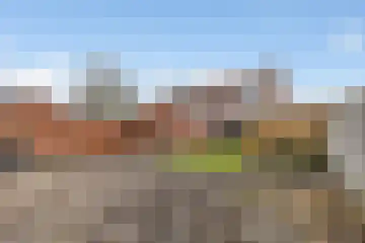 Wilgenlaan 4 Wierden foto 3