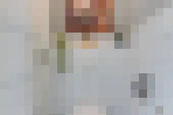 Wilgenlaan 4 Wierden thumbnail 31