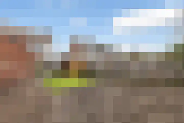 Wilgenlaan 4 Wierden thumbnail 31