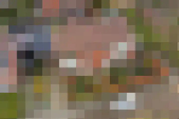 Wilgenlaan 4 Wierden thumbnail 39