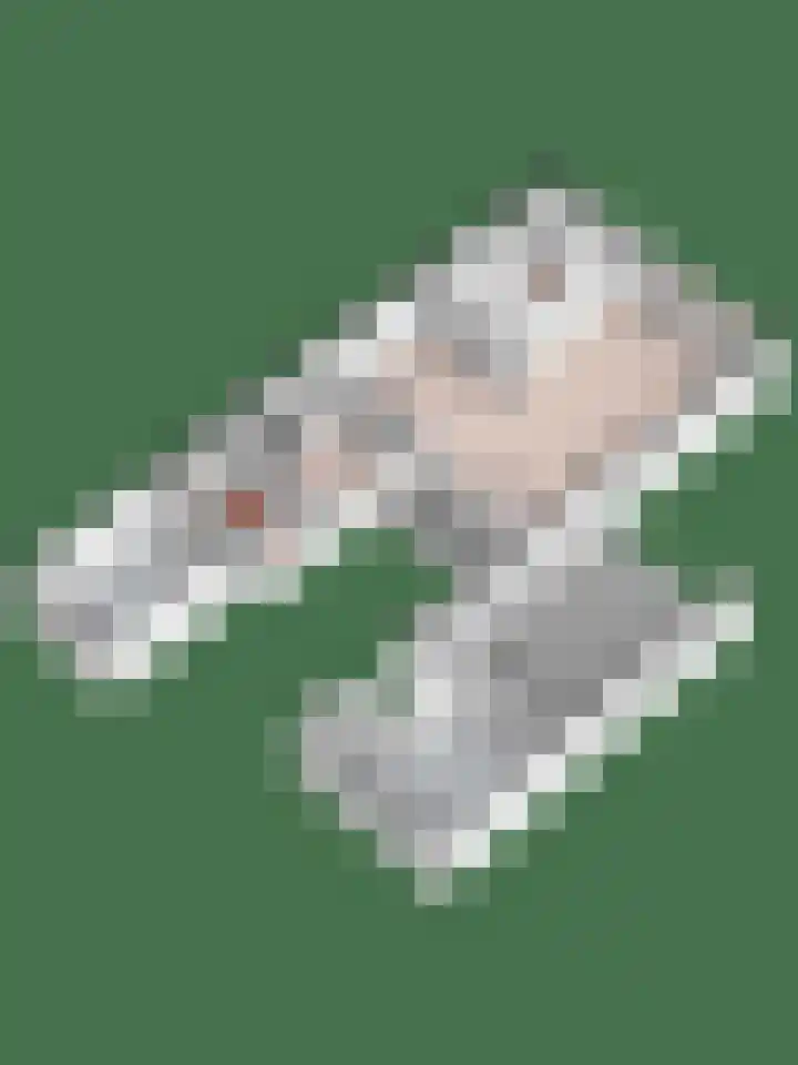 Wilgenlaan 4 Wierden thumbnail 42