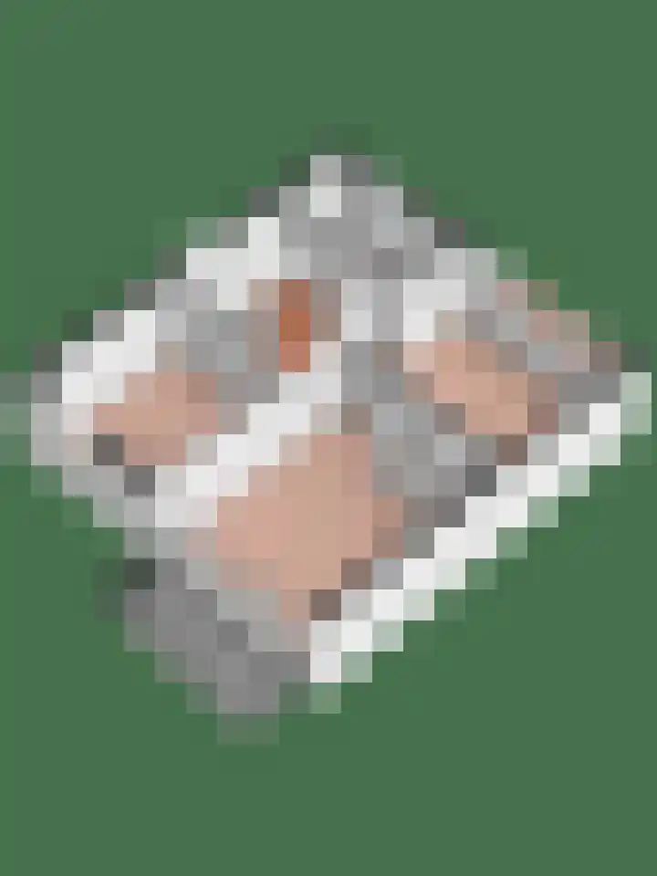 Wilgenlaan 4 Wierden thumbnail 44