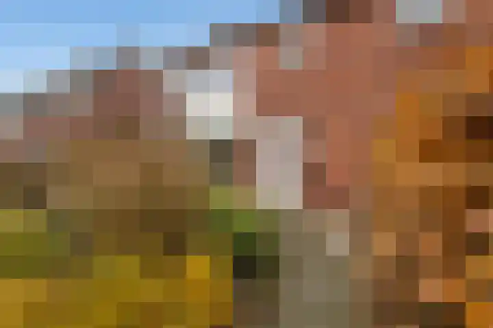 Wilgenlaan 4 Wierden thumbnail 6