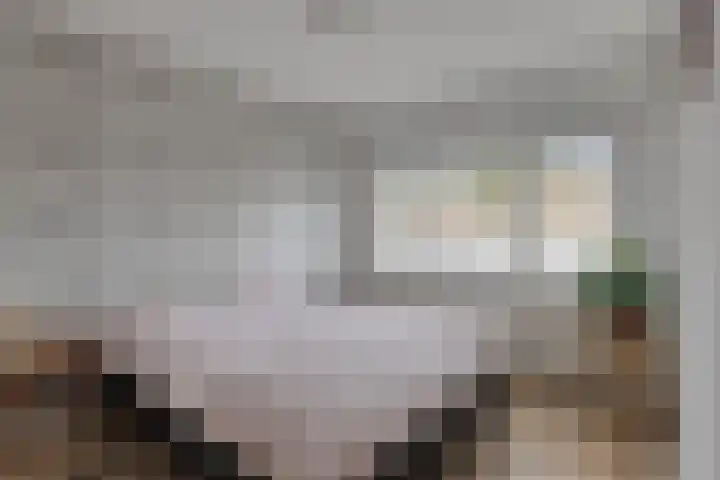 Wilgenlaan 42 Arnhem thumbnail 28