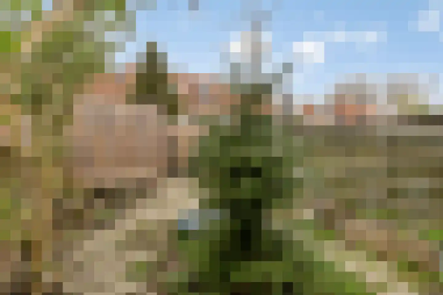 Wilgenlaan 42 Arnhem thumbnail 35
