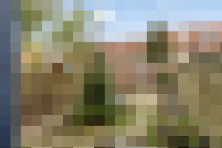 Wilgenlaan 42 Arnhem thumbnail 36