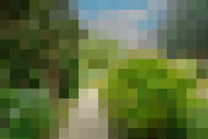 Wilgenlaan 43 Middenmeer thumbnail 34