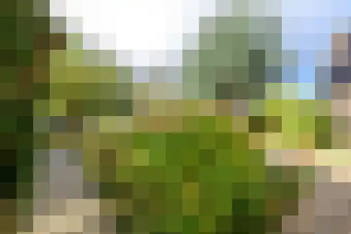 Wilgenlaan 43 Middenmeer thumbnail 42