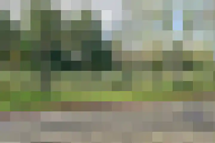 Wilgenlaan 43 Middenmeer thumbnail 44