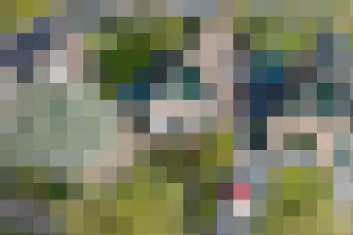 Wilgenlaan 43 Middenmeer thumbnail 47
