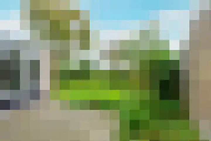 Wilgenlaan 43 Middenmeer thumbnail 5