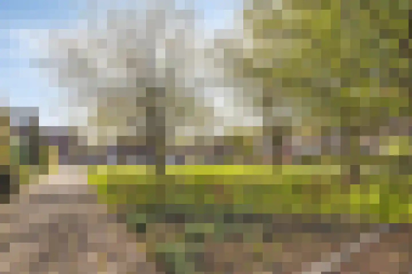 Wilgenlaan 44 Renswoude thumbnail 25