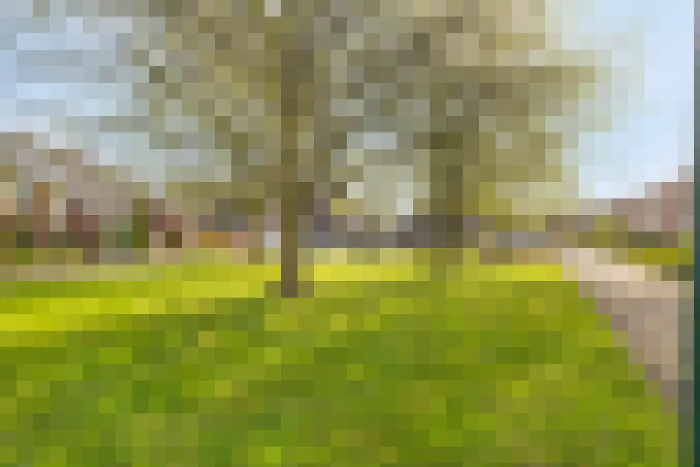 Wilgenlaan 44 Renswoude thumbnail 26