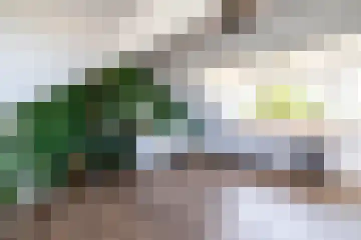 Wilgenlaan 47 Zevenhuizen thumbnail 23