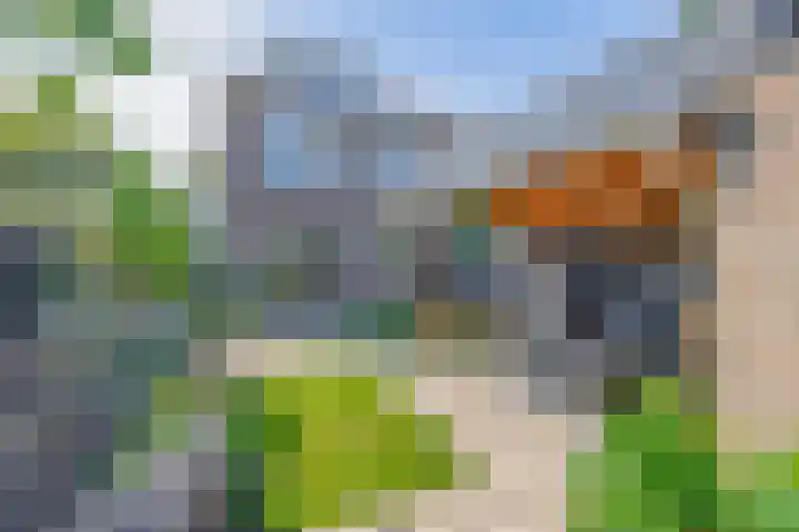 Wilgenlaan 47 Zevenhuizen thumbnail 25