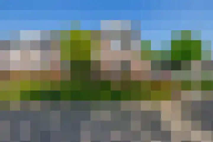 Wilgenlaan 47 Zevenhuizen thumbnail 29