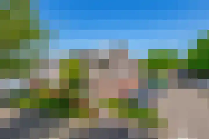 Wilgenlaan 47 Zevenhuizen thumbnail 30
