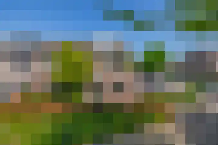 Wilgenlaan 47 Zevenhuizen thumbnail 37