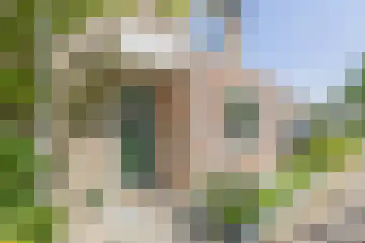 Wilgenlaan 47 Zevenhuizen thumbnail 4