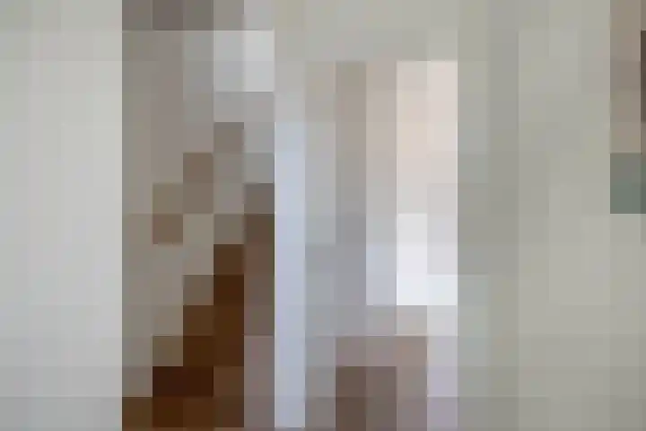 Wilgenlaan 47 Zevenhuizen thumbnail 6