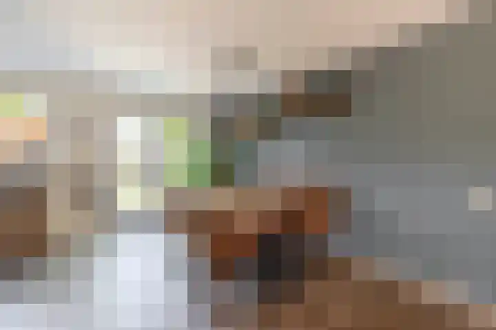 Wilgenlaan 47 Zevenhuizen thumbnail 9