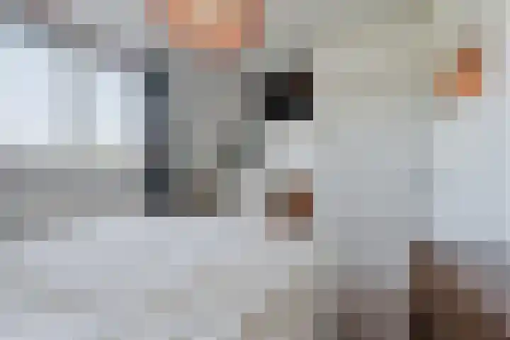 Wilgenlaan 49 Delft thumbnail 17