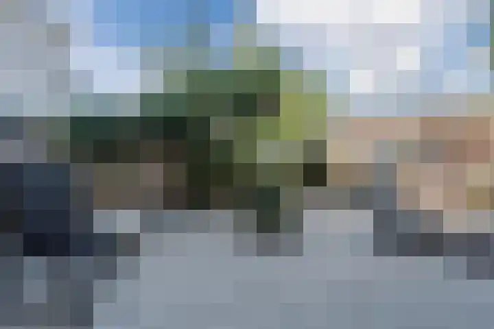 Wilgenlaan 49 Delft thumbnail 23