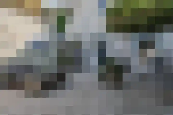 Wilgenlaan 49 Delft thumbnail 25