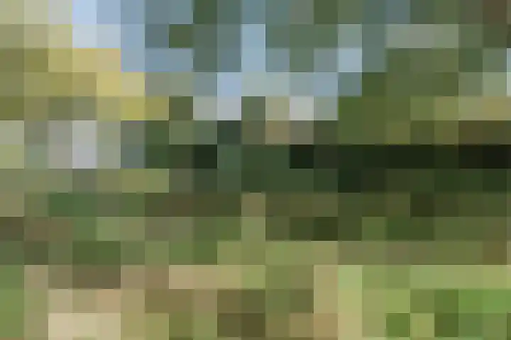 Wilgenlaan 49 Delft thumbnail 26