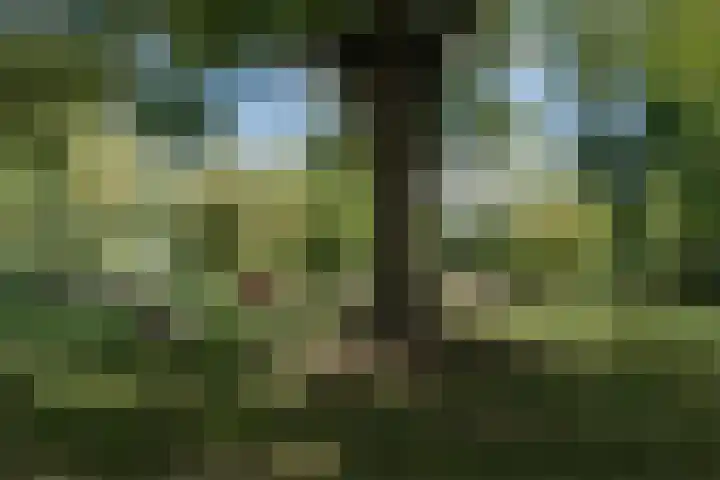 Wilgenlaan 49 Delft thumbnail 27