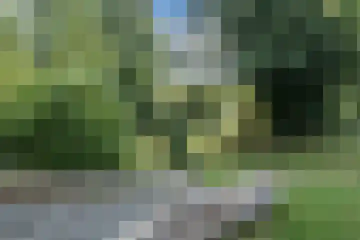 Wilgenlaan 49 Delft thumbnail 28