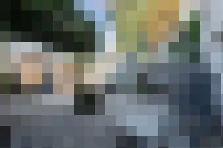 Wilgenlaan 49 Delft thumbnail 4