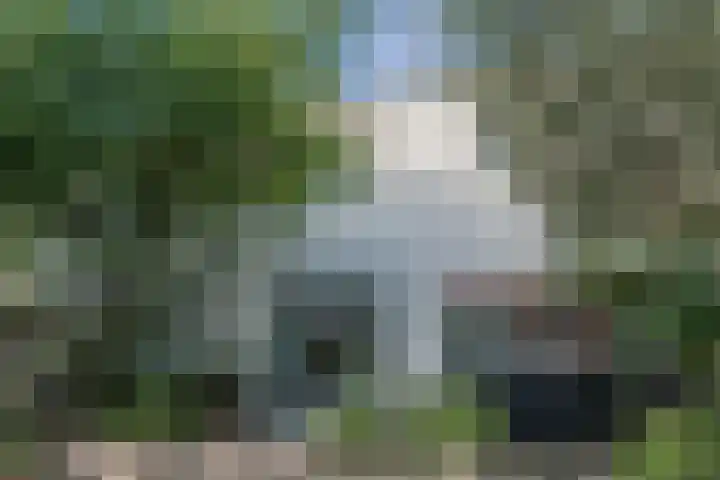 Wilgenlaan 49 Delft thumbnail 5