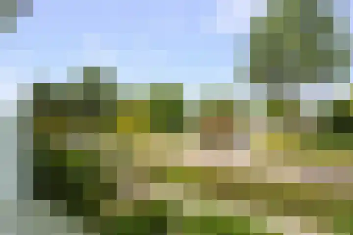 Wilgenlaan 49 Schagen thumbnail 19