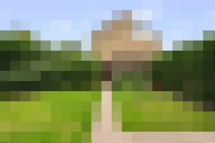Wilgenlaan 49 Schagen thumbnail 24