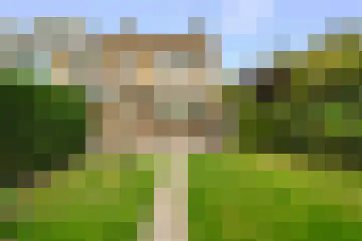 Wilgenlaan 49 Schagen thumbnail 25