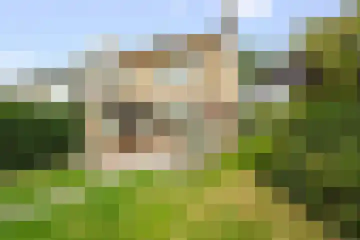 Wilgenlaan 49 Schagen thumbnail 26