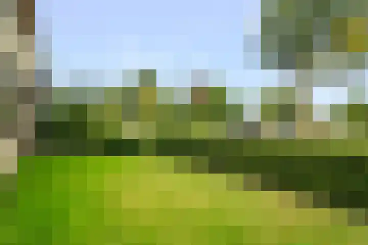Wilgenlaan 49 Schagen thumbnail 27