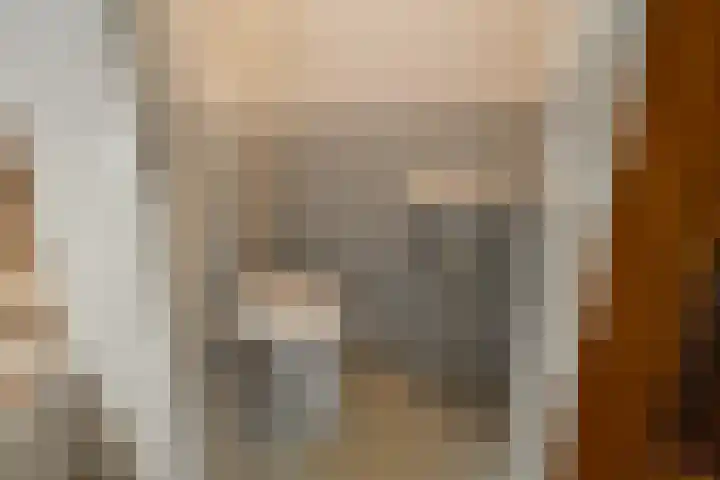 Wilgenlaan 49 Schagen thumbnail 6