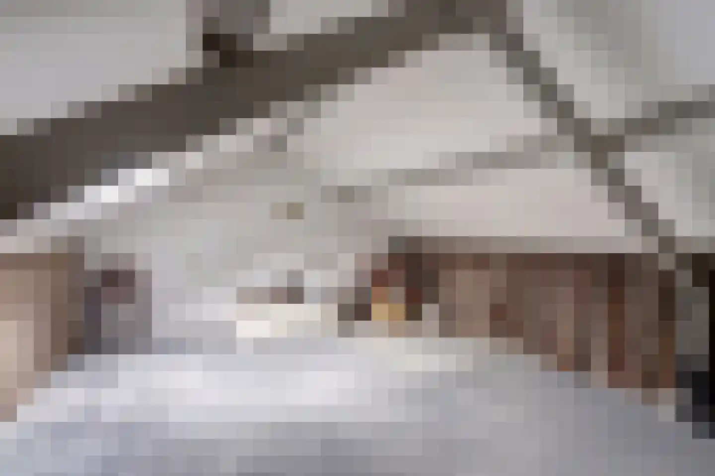 Wilgenlaan 5 Emmer-Compascuum thumbnail 26